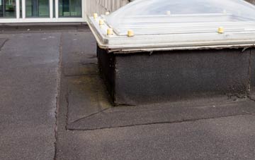 disadvantages of Heaning flat roofs